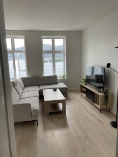 Central apartment with a fantastic view - Lii - 0