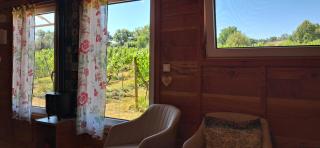 La Barre Tiny Haus im Weinberg - Chalais - 8