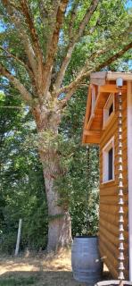 La Barre Tiny Haus im Weinberg - 3