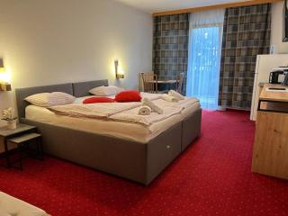 Comfort Room in Warmbad - 5