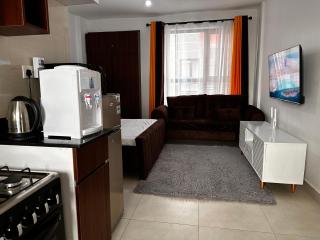 Ngong Road Executive Deluxe Studio - Nairobi - 1