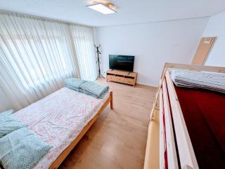 Peaceful Garden Apartment in Schweinfurt - Schweinfurt - 7