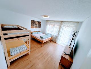 Peaceful Garden Apartment in Schweinfurt - Schweinfurt - 9