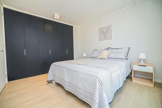 Functional and Bright Apartment in Providencia - 7