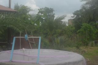 Koaha Farm Stay - Bhopal - 1