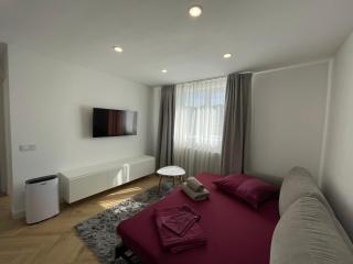 APARTAMENT ULTRACENTRAL,PARCARE PRIVATA,WiFi - 4