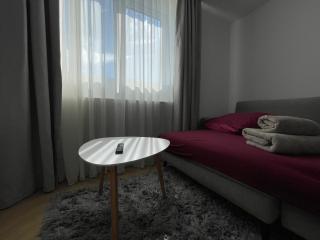 APARTAMENT ULTRACENTRAL,PARCARE PRIVATA,WiFi - Sângeorz-Băi - 5