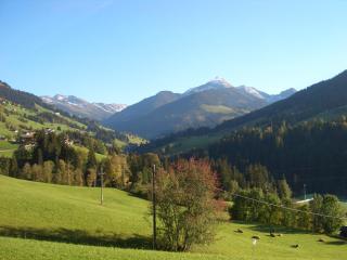 Hotel Andreas - Alpbach - 8