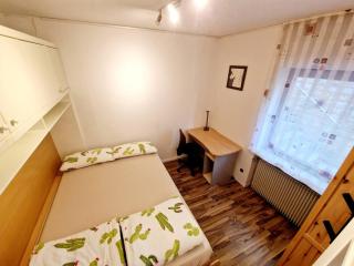 Peaceful Garden Apartment in Schweinfurt - Schweinfurt - 5