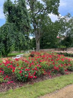 Zámek Bystřice nad Úhlavou - 3