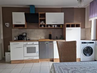 Peaceful Garden Apartment in Schweinfurt - Schweinfurt - 2