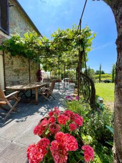 The Tuscany Rose - Pistoya - 5