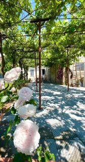 The Tuscany Rose - Pistoya - 6