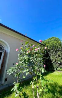 The Tuscany Rose - Pistoya - 7