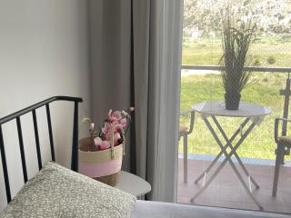 View of flamingos - 3