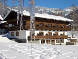 Hotel Andreas - Alpbach - 9