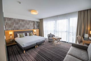 Le Lodge Brit Hotel Strasbourg Zenith - 3