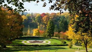 Beautifully Furnished 3BR Apartment Close to High Park - Toronto - 4