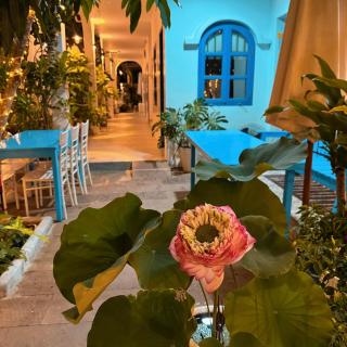A House - homestay Mui Ne - 5