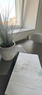 Central apartments - 5