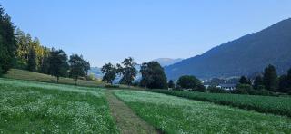 Ferien- und Pferdegut Schloss Treffen - Görtschach - 8