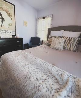 Downtown Boho Home wOffice Yoga StudioKing Bed - La Crosse - 2