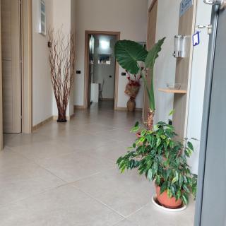 B&B Mari Lu' - Maruggio - 2
