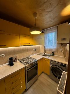 Gold Vibe Apartment - Topliţa - 1