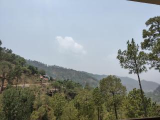 Hotel Adventure Kasauli Hills l 2km From Mall Road l Restaurant l Free Wifi l By Splendid Hotels - Kasauli - 1