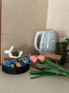 Apartman Ivana - Novi Sad - 4