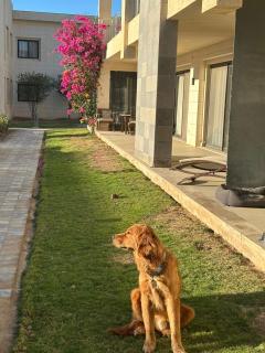 Elgouna G cribs b-7 first floor - Hurghada - 6