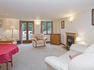 Grebe Cottage - Dilham - 9