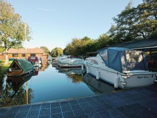 Grebe Cottage - Dilham - 1
