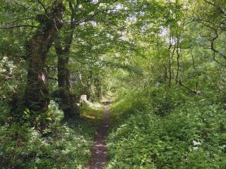 The Square - Hartland - 3