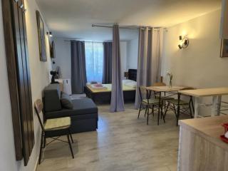 Studio apartments Ana - Gornji Karin - 6