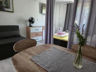 Studio apartments Ana - Gornji Karin - 2