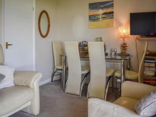 Mr Seal - Uk41452 - Hunstanton - 0