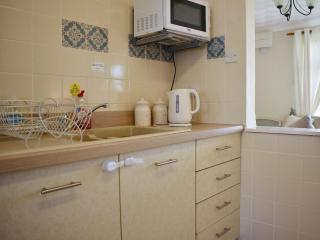 Mr Seal - Uk41452 - Hunstanton - 4