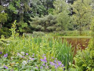Langcliffe Lock Cottage - 8