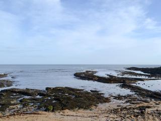 Gullsway - Beadnell - 4
