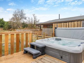 Lime Lodge - Uk42547 - Llanwrthwl - 8