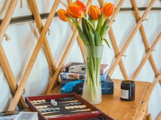 Bracken Yurt - Ukc6941 - Beaminster - 7