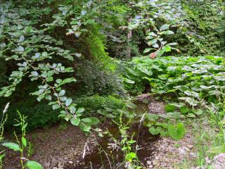 Melgund Glen Lodge - Minto - 8