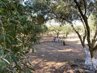 Dar Aisha, Guest House - 2