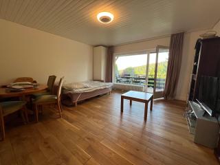 Beautiful apartment & pool Black Forest Häusern 5 people - Häusern - 9
