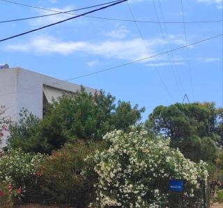 Αριάδνη στούντιο με θέα - Anavissos - 9