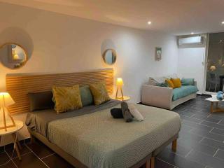 Le Serenity - Studio 4p Vue Mer - Mont Vernon - 8