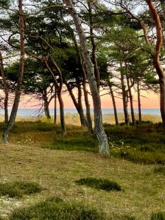 Holiday Home Near The Beach Perfect For Relaxing - Neksø - 4