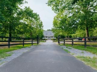 Beautiful Estate in 19 acres of land in Apex - Apex - 9
