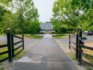 Beautiful Estate in 19 acres of land in Apex - Apex - 8